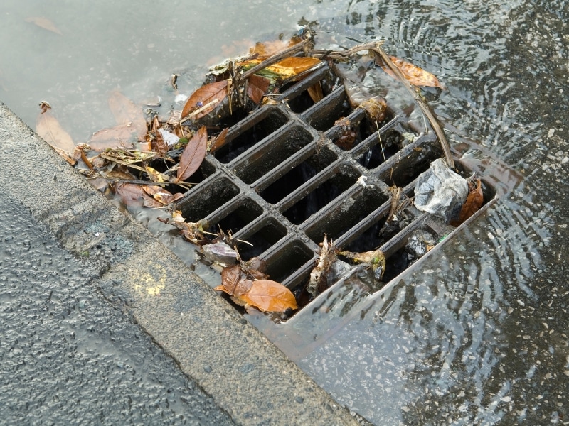 Leaves and rubbish block stormwater drains on roadside