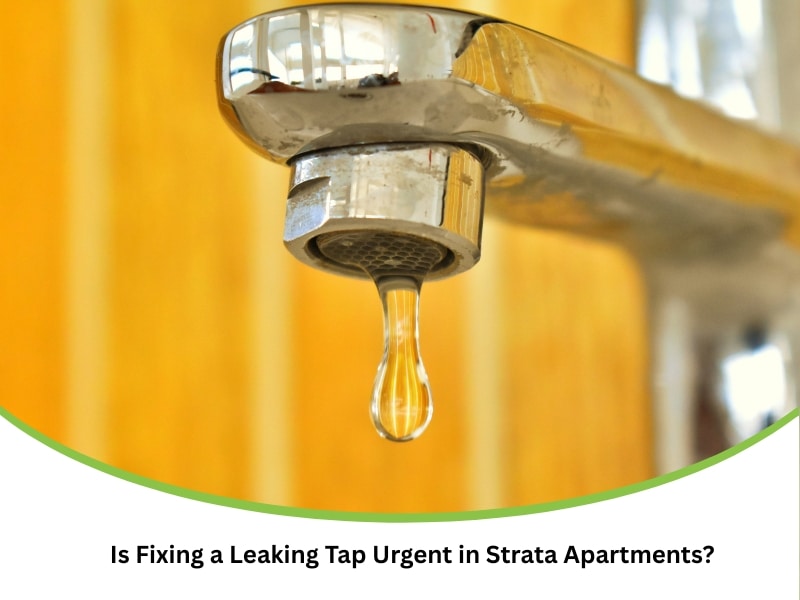 Water droplet from tap highlights urgency of fixing a leaking tap in strata apartment